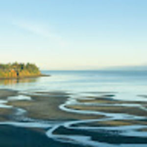 Meet your Posher, Vicki